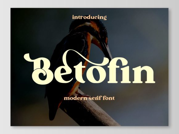 Betofin: The Serif Typeface That Elevates Campaign Clarity