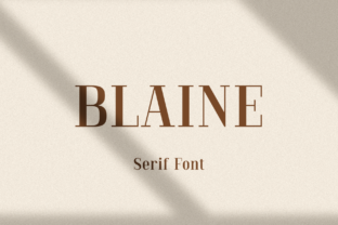 Blaine Typeface: A Clean Serif for Polished Brand Identity
