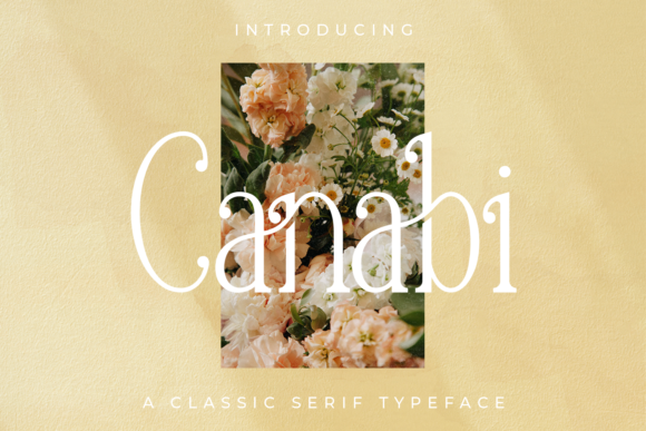Canabi Font: A Stylish Serif for Crafters and Creative Businesses