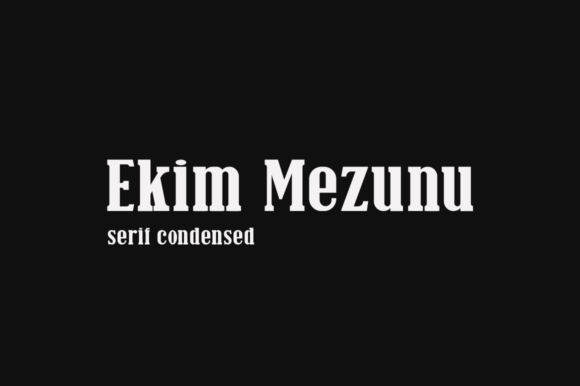 Ekim Mezunu: The Condensed Serif for Modern Web Design