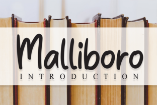 Malliboro: A Quirky Serif Font for Memorable Brand Identity