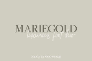 Mariegold Duo: A Versatile Serif Typeface for Small Business Branding