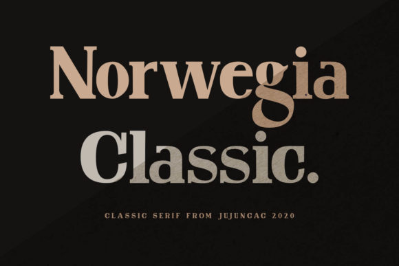 Norwegia Classic: A Simple Serif for Clean Brand Identity