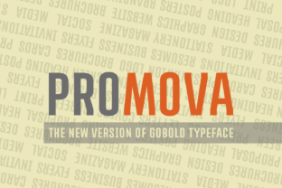 Promova Typeface: Elevating Small Business Brand Identity