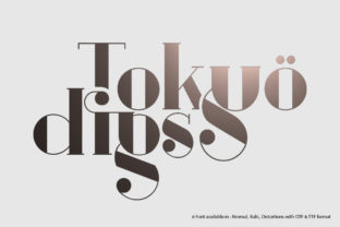 Tokyo Digs: The Serif Font That Elevates Small Business Branding