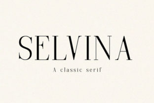 Why Selvina Is the Serif Font for Modern Editorial Branding